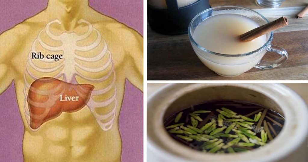 The 8 Most Effective Nighttime Drinks For Quick Liver Detoxing and Fat